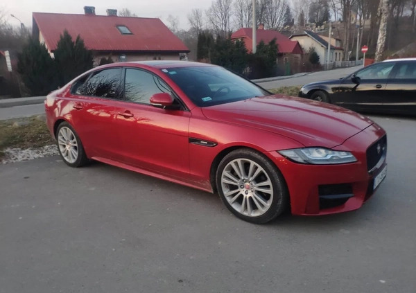 Jaguar XF cena 73900 przebieg: 131000, rok produkcji 2015 z Tuchów małe 37